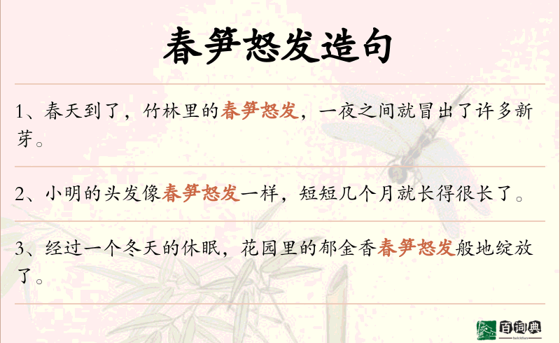 春笋怒发