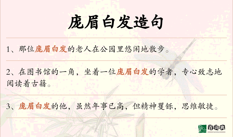 庞眉白发