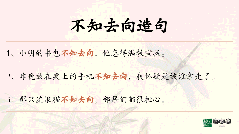 不知去向