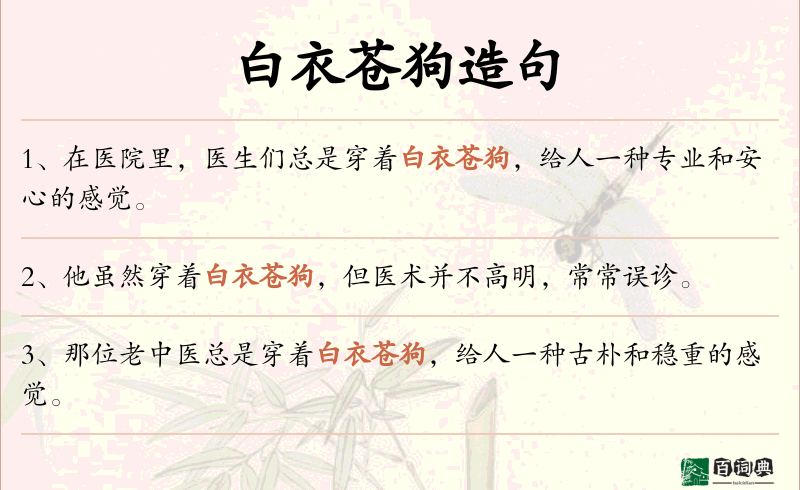 白衣苍狗