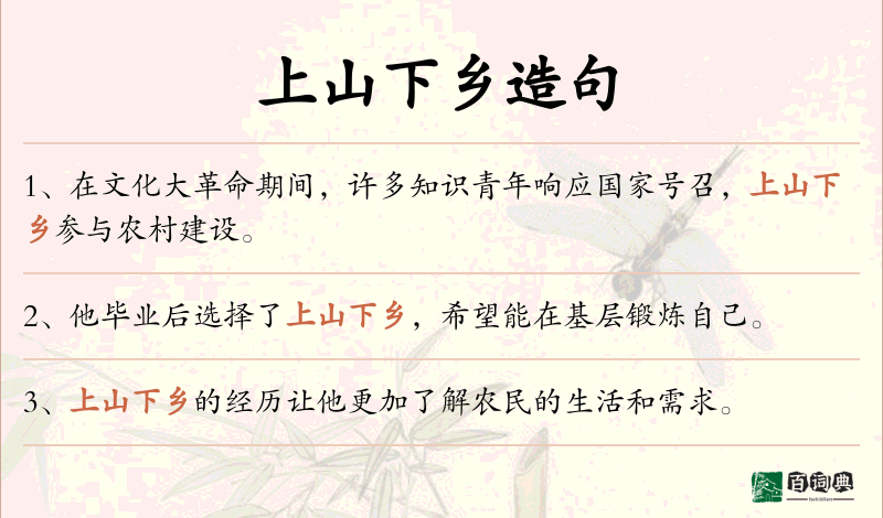 上山下乡