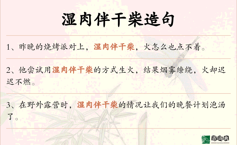 湿肉伴干柴