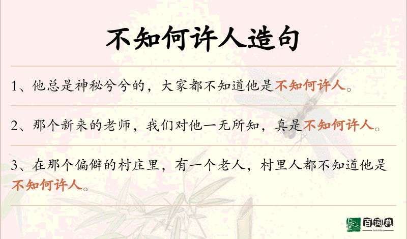 不知何许人