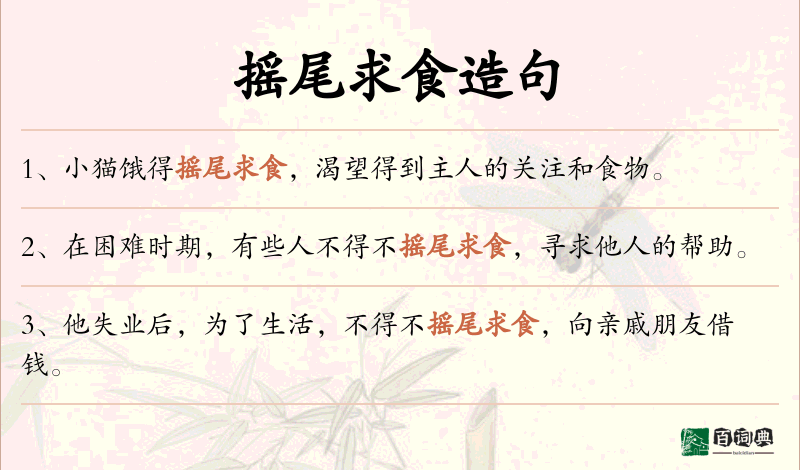 摇尾求食