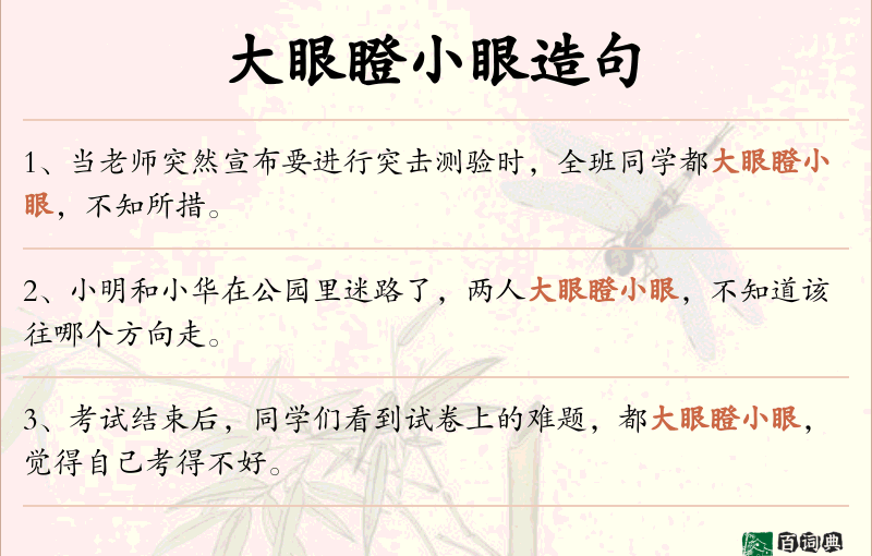大眼瞪小眼