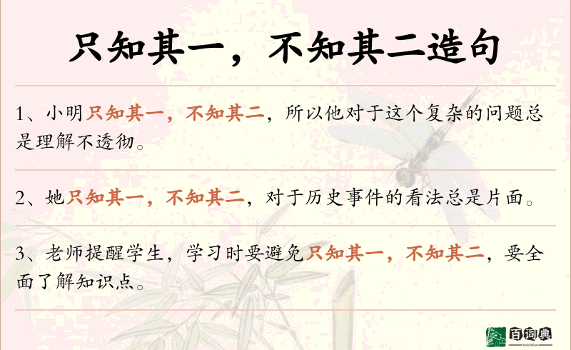 只知其一，不知其二