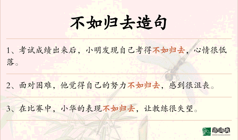 不如归去