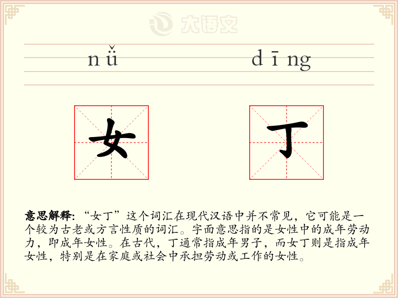 女丁