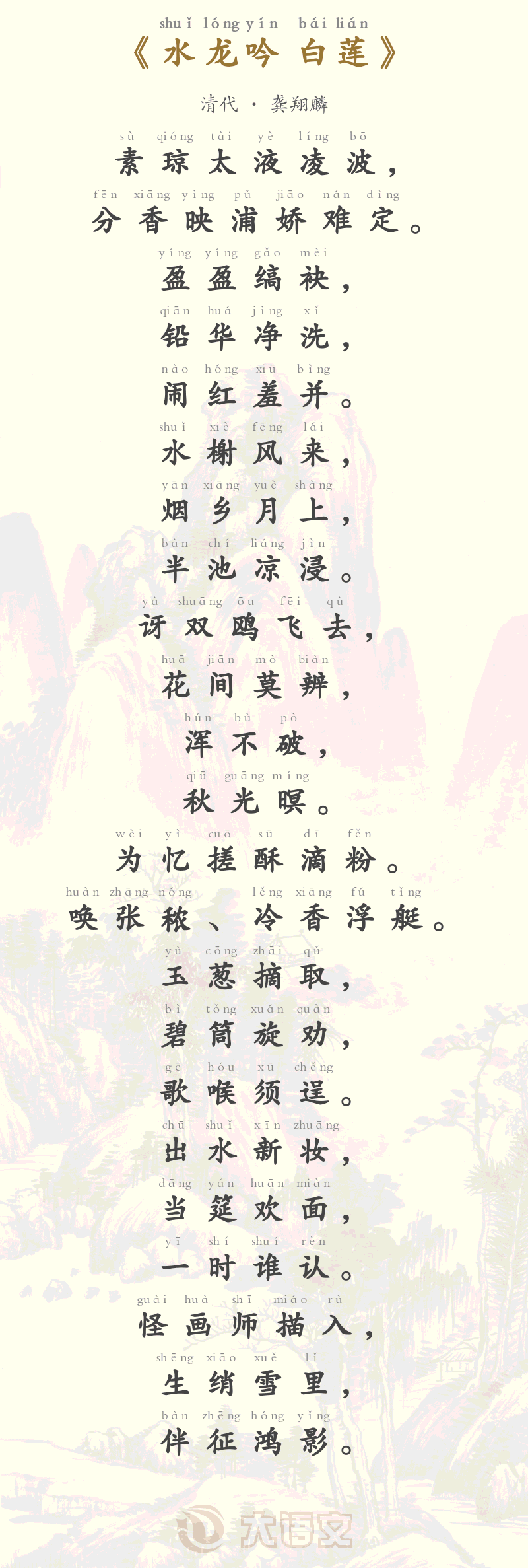 水龙吟 白莲