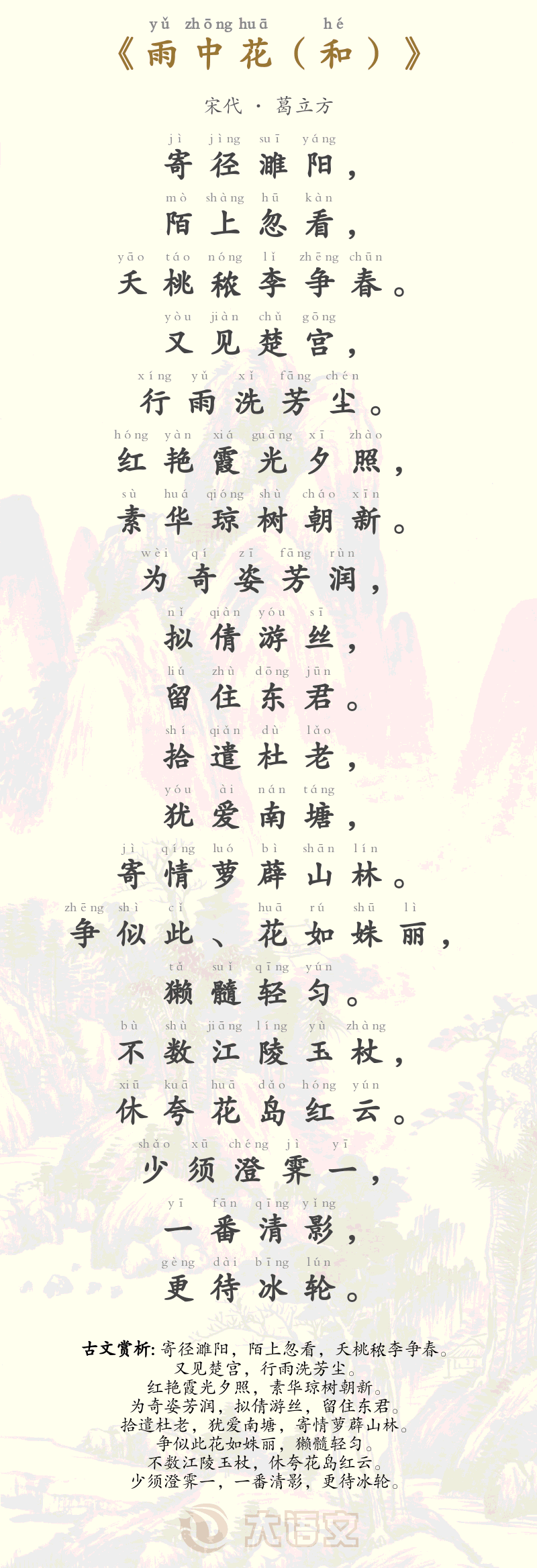 雨中花（和）