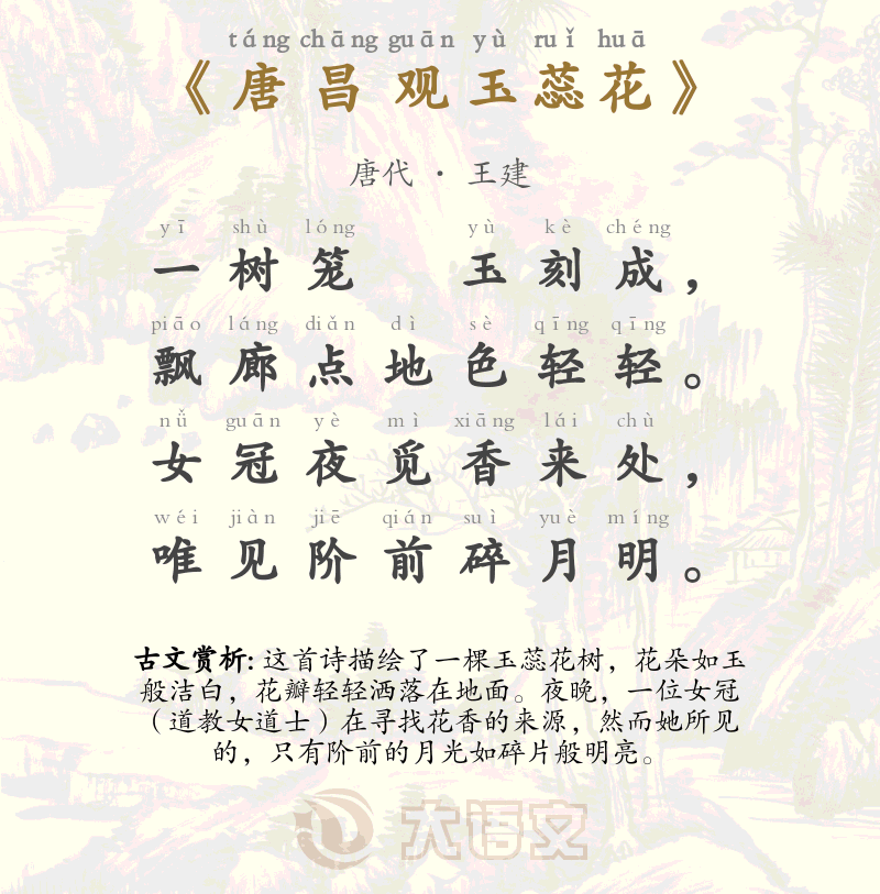 唐昌观玉蕊花
