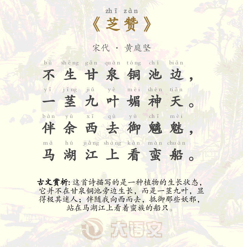 芝赞