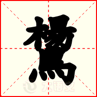 鸉