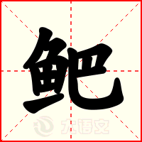 鲃