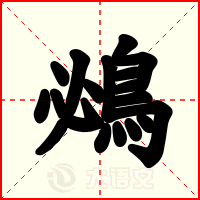 鴓