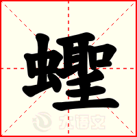 蟶