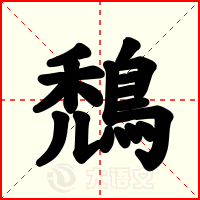 鵚