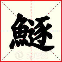 鱁