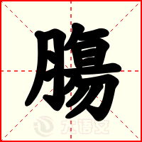 膓