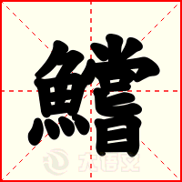 鱨