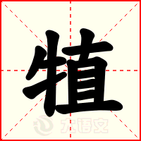 犆