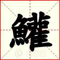 鱹