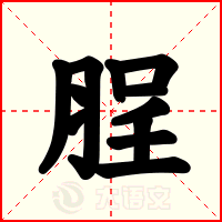脭
