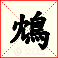 鴆