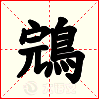 鵍