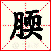 腝