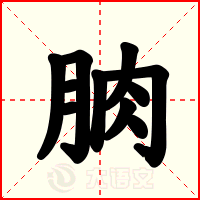 朒