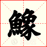 鱌