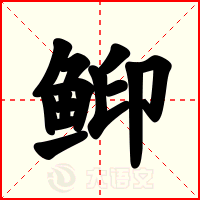䲟