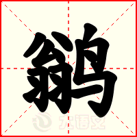 鹟