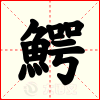 鰐