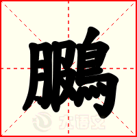 鵩