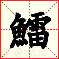 鱩