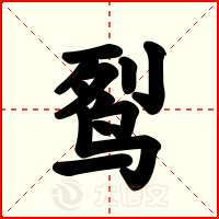 䴕