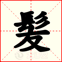 髪