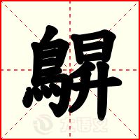 鵿