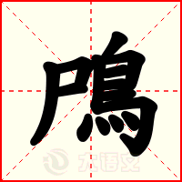鳲