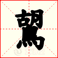 鶦