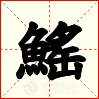 鰩