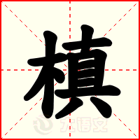 槙