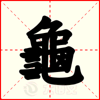 龜