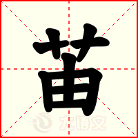 苖