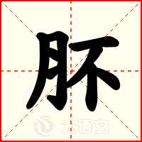肧