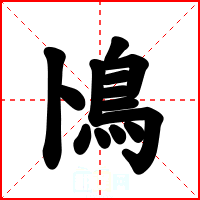 鳪