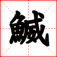 鰄