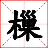 樔
